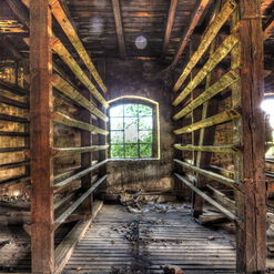 Verfallene Holzhalle mit Fenster und Regalen.